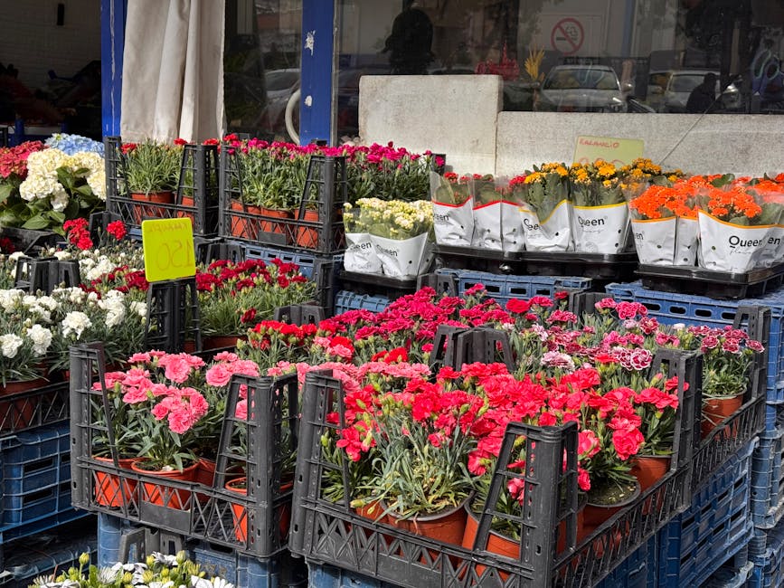 A display of potted flowering plants arranged in black plastic crates outside a flower shop, featuring pink, white, red, orange, and yellow blooms, including carnations and chrysanthemums, wrapped in