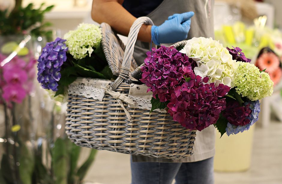 A person wearing a grey apron and blue gloves is holding a wicker basket filled with fresh hydrangea flowers in shades of purple, white, and light green. The basket is decorated with a white lace ribb